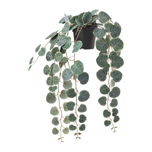 FEJKA Tanaman tiruan dalam pot, digantung string of hearts, 9 cm