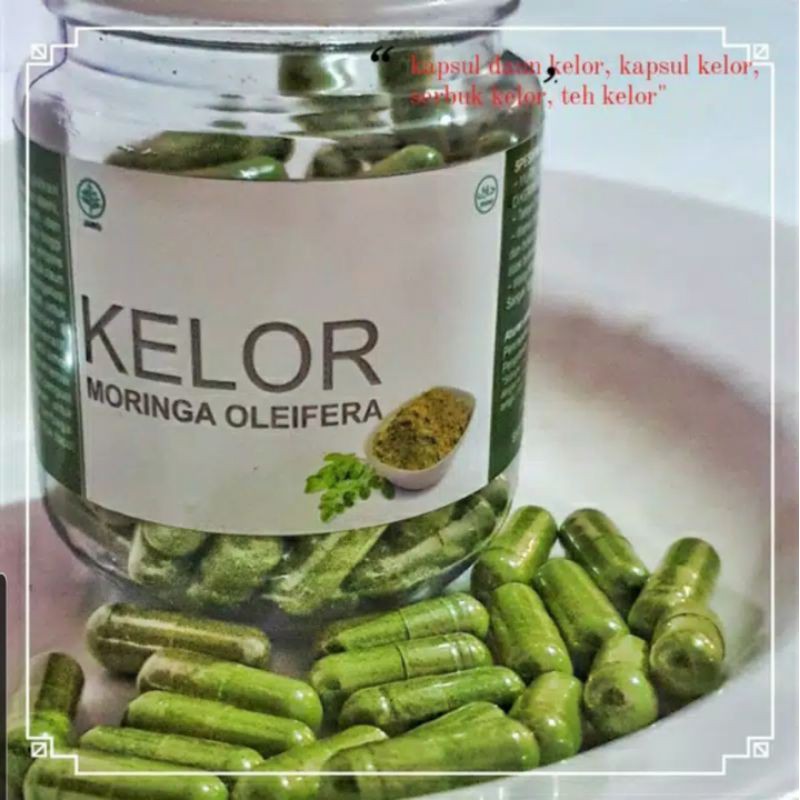 DAUN KELOR / MORINGA OLEIFERA 100% ALAMI ORGANIK