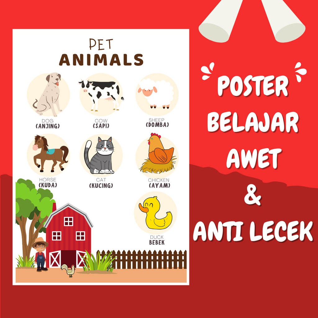 POSTER ANAK SERI NAMA HEWAN (BILINGUAL) 6 - POSTER BELAJAR BALITA TK PAUD