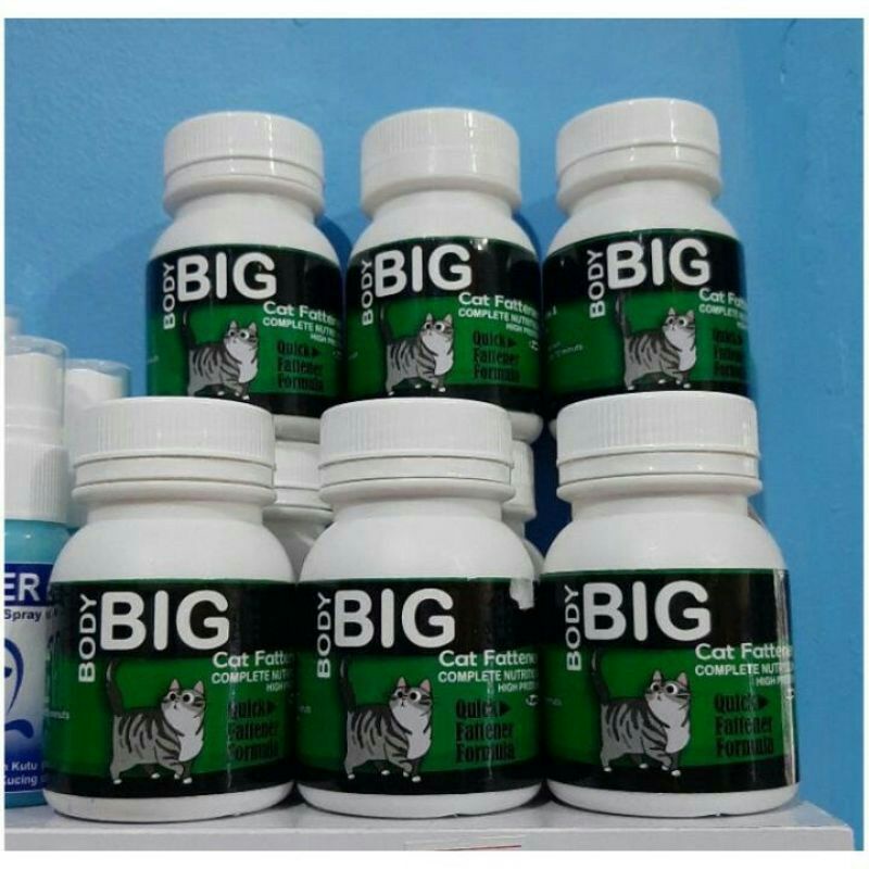 BODY BIG CAT / vitamin kucing / penggemuk