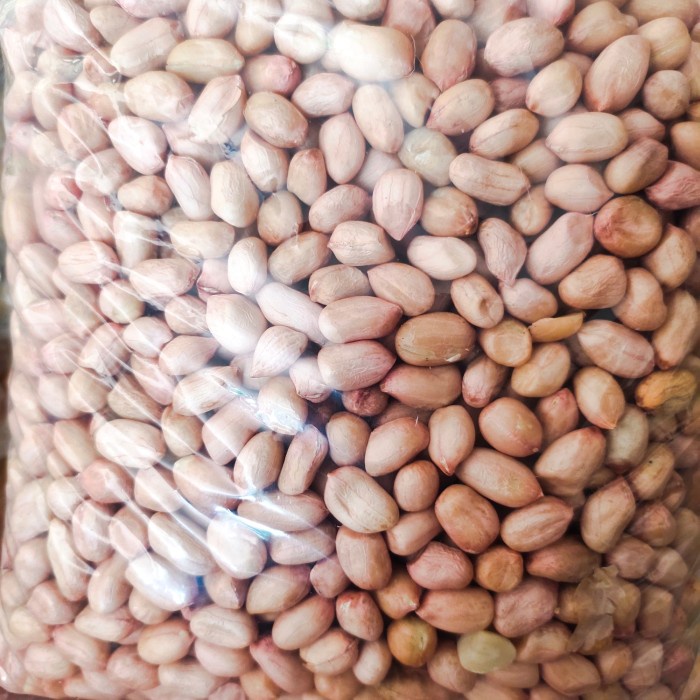 

Kacang Tuban 100gr