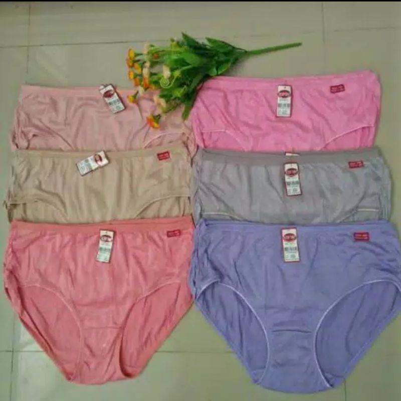 12 PCS/BEEE_91/ LUSINAN/ 2200 CELANA DALAM WANITA BODITHIN | CD