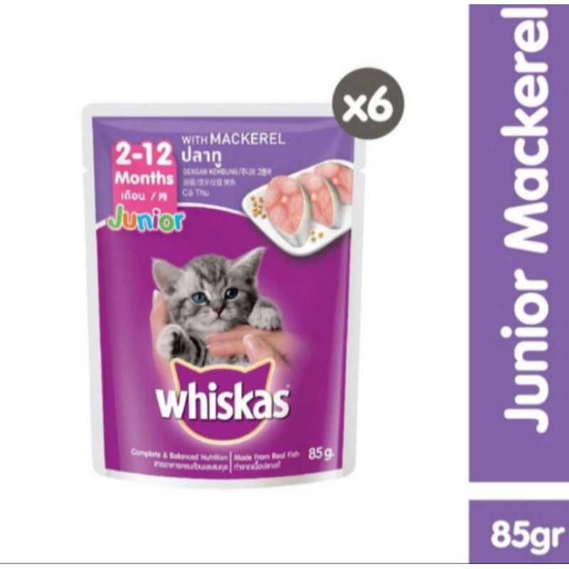 pouch whiskas junior 85g whiskas sachet junior makarel (6 pcs)