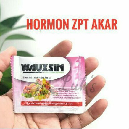 PUPUK AKAR WAUXIN 2 gr