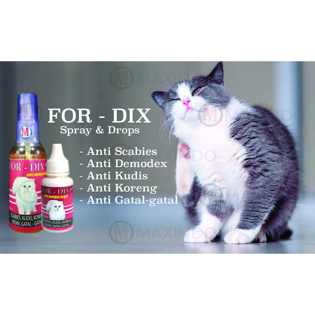 Anti Infeksi Kulit Maxindo For - Dix Spray Cat 60 ml