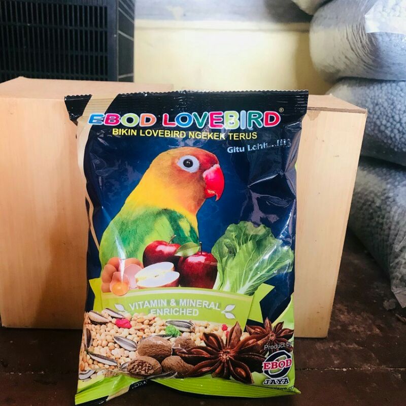 EBOD LOVEBIRD MAKANAN LOVE BIRD BIKIN NGENGEK TERUS