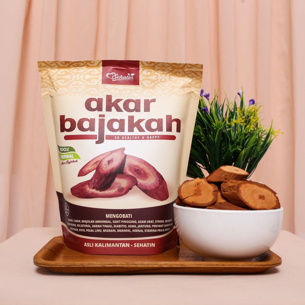 AKAR BAJAKAH ASLI KALIMANTAN 100% KAYU BAJAKAH