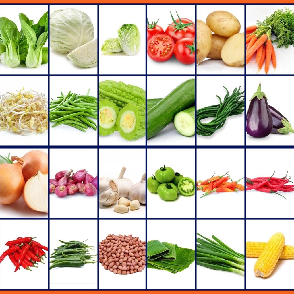 

Aneka Sayuran Segar Sayur Mayur Fresh Pasar Online [Bekasi] - Pakcoy / Sawi / Buncis / Jagung / Baby Corn / Putren / Wortel / Tauge / Oyong / Kol / Kembang Kol / Nangka / Mentimun / Kentang / Oncom / Pare / Kluwek / Bawang / Cabe / Kacang / Terong / Tomat