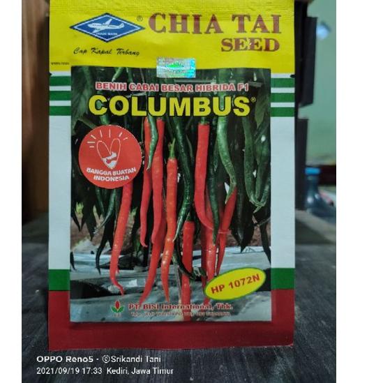 Cabe Besar Hibrida Columbus F1 Tahan Virus Kemasan 10gr Original Pabrik "NBA.16Ap22ғ"