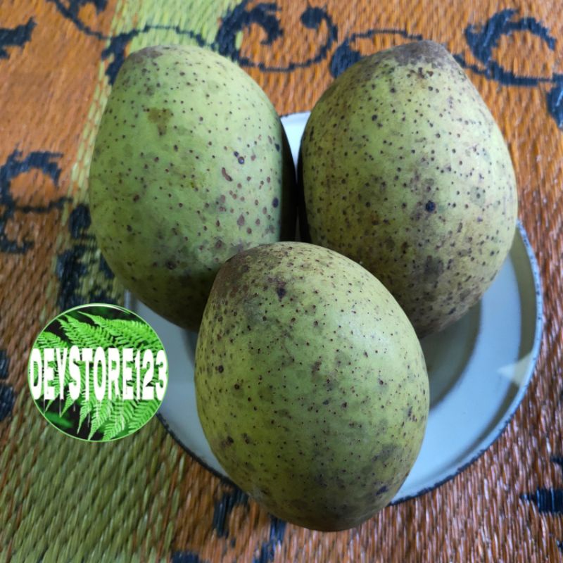 

Buah Bacang muda segar per 1 kg