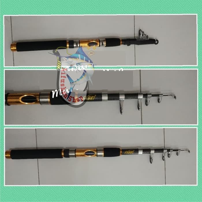 JORAN ANTENA EXORI PEGASUS 300