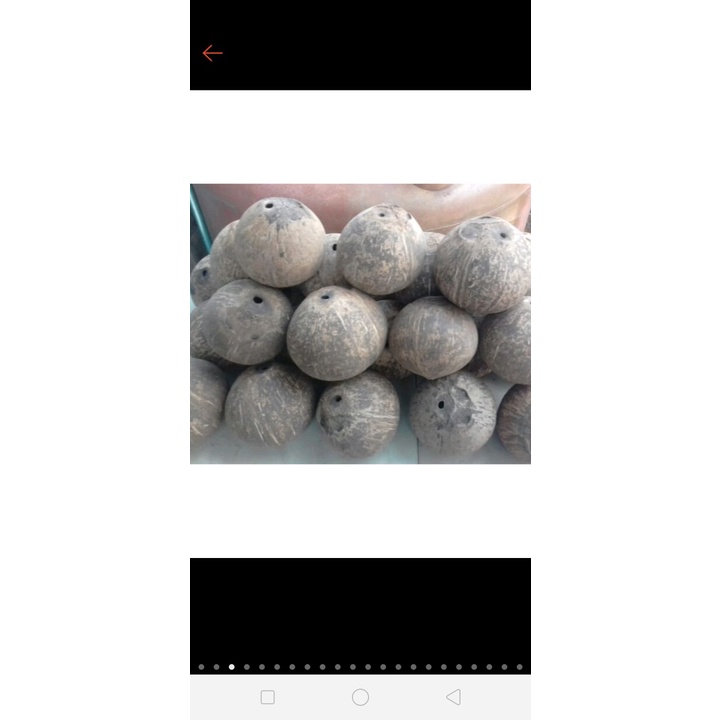 BATOK KELAPA UTUH BATOK KELAPA