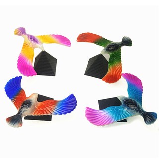 480 Koleksi Gambar Burung Elang Dari Styrofoam Gratis Terbaik