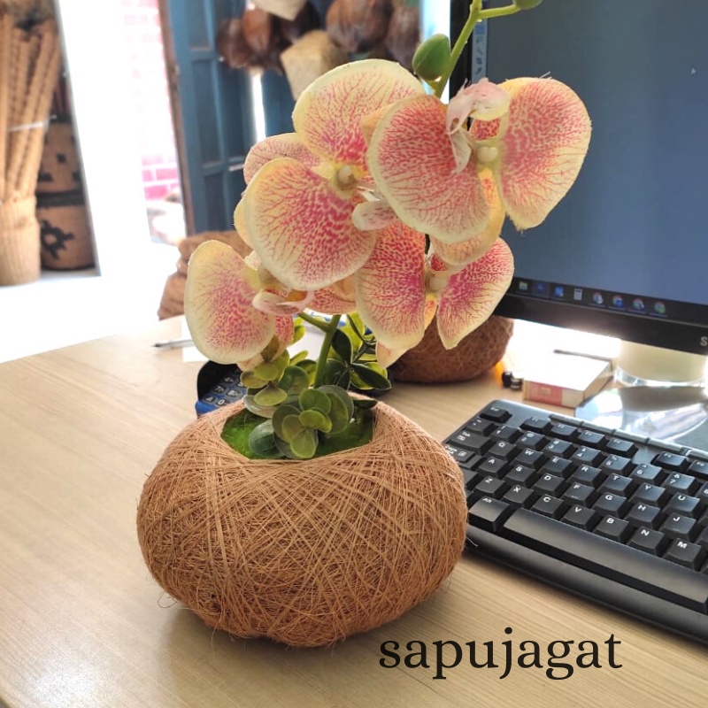 POT KOKEDAMA D15 SABUT KELAPA-VAS BUNGA MEJA-POT ANGGREK-POT INDOOR
