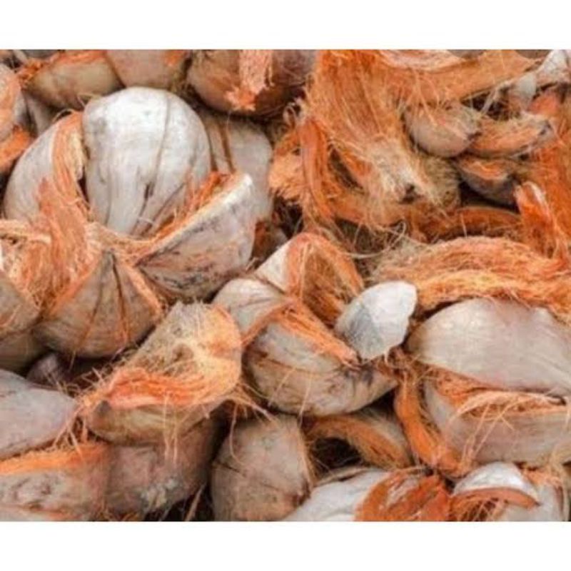 

Sabut kelapa/tepes kelapa kering 1kg