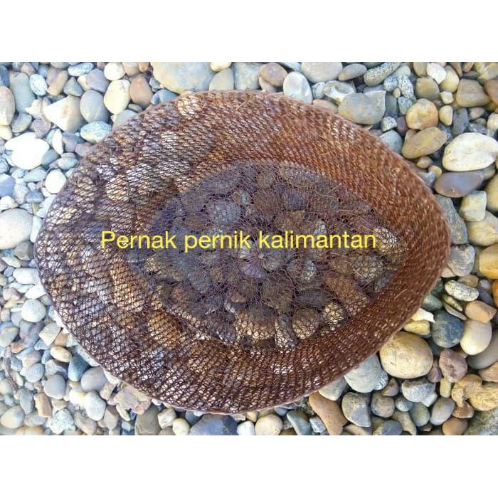Terpopuler Peci / Kopiyah Akar Jangang Asli Khas Kalimantan Termurah