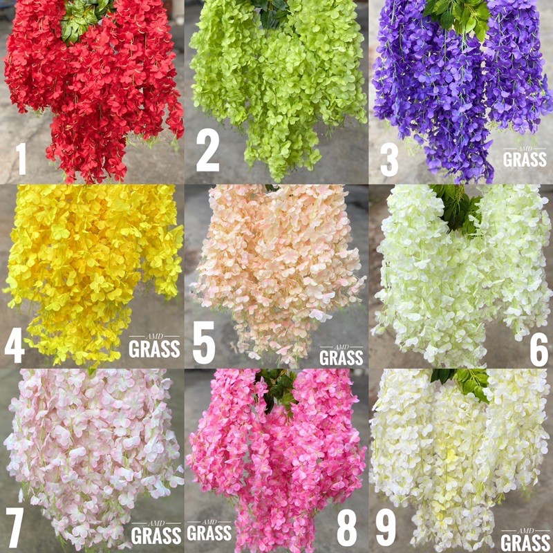 Bunga wisteria jumo juntai Shopee Indonesia Bunga wisteria jumo juntai Shopee Indonesia
