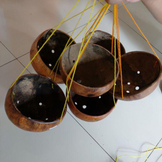  pot batok kelapa pot anggrek  Shopee Indonesia