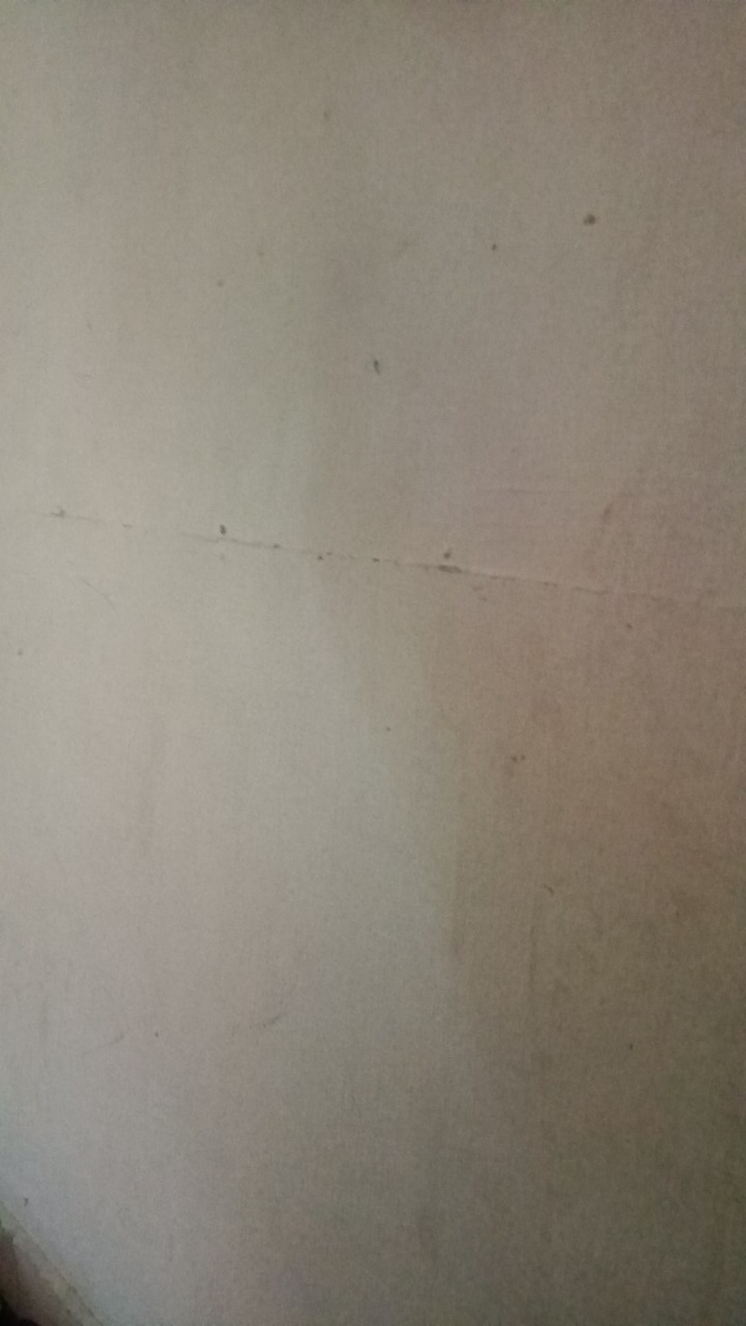 Tumbler Botol Minum Kado Gift Souvenir Wisuda Graduation Wanita Hijab Go Green Gelas