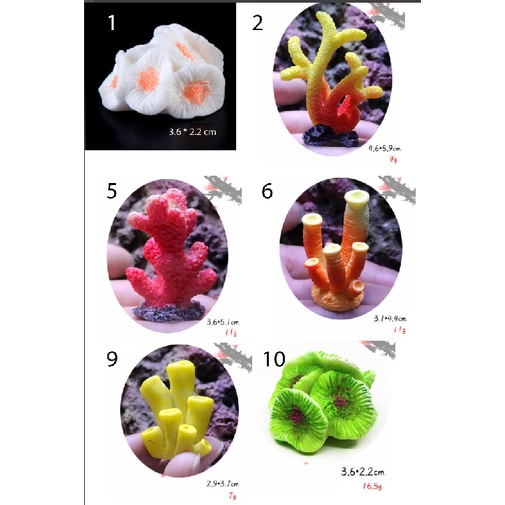 Mini Coral Articial Terumbu Karang Bintang Hiasan Akuarium Laut