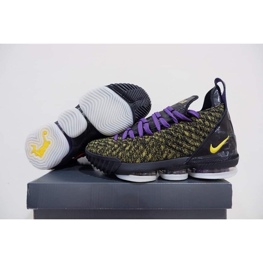 lebron 16 we are family