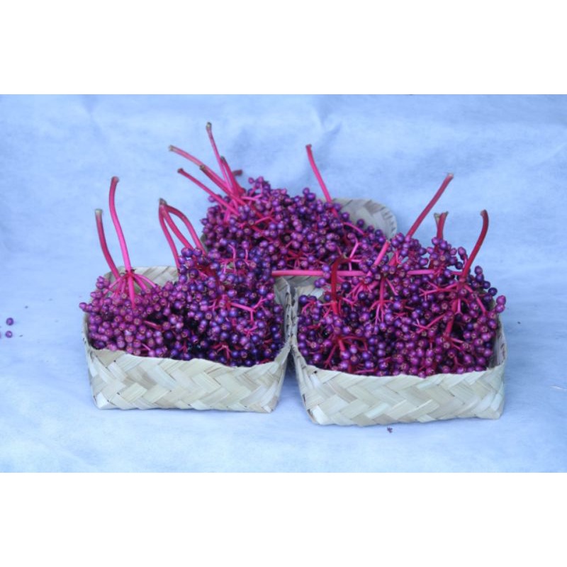 

BUAH PARIJOTHO SEGAR (PROMIL HERBAL) ASLI INDONESIA