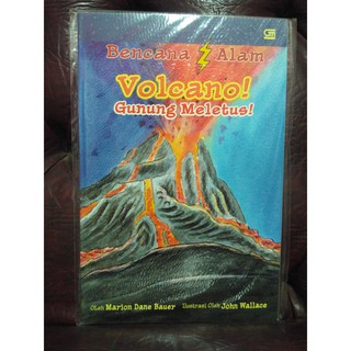 Volcano Gunung Meletus