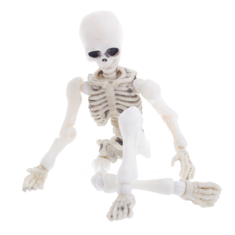 Mary Movable Mr. Bones Skeleton Model Manusia Tengkorak Full Body Mini Figure Mainan Halloween