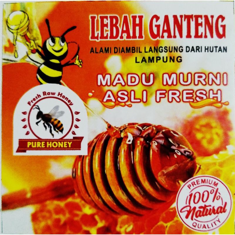 

Madu Hutan Asli