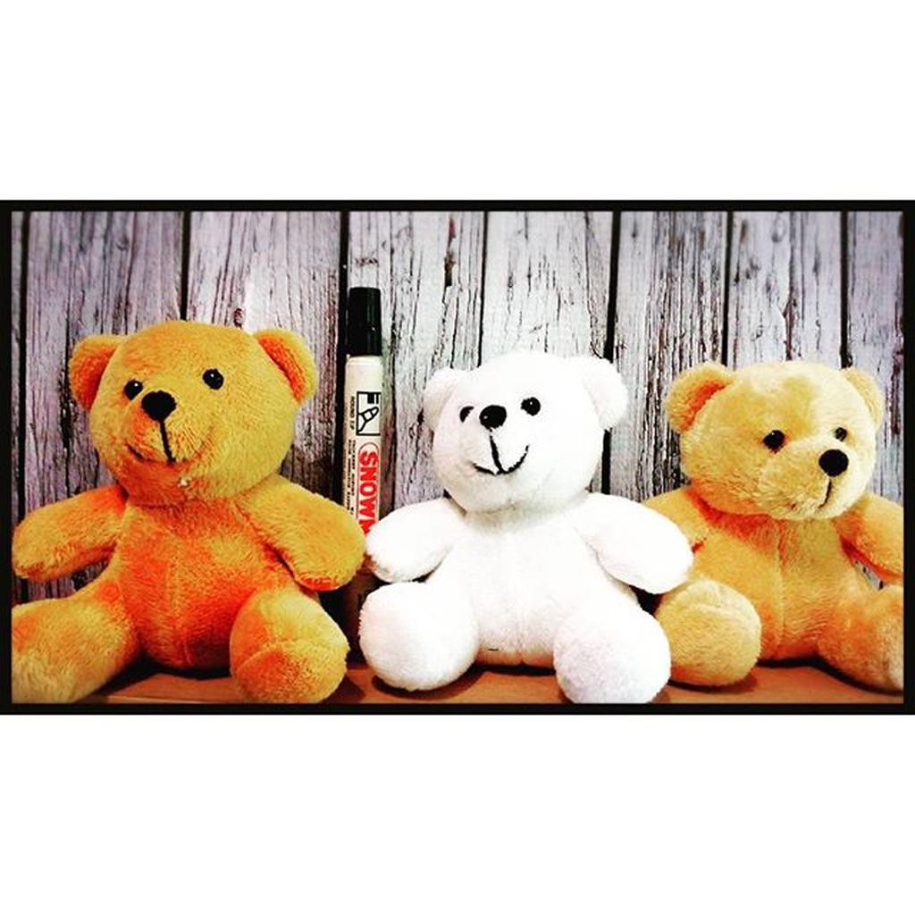 Boneka Mini Beruang Teddy Bear