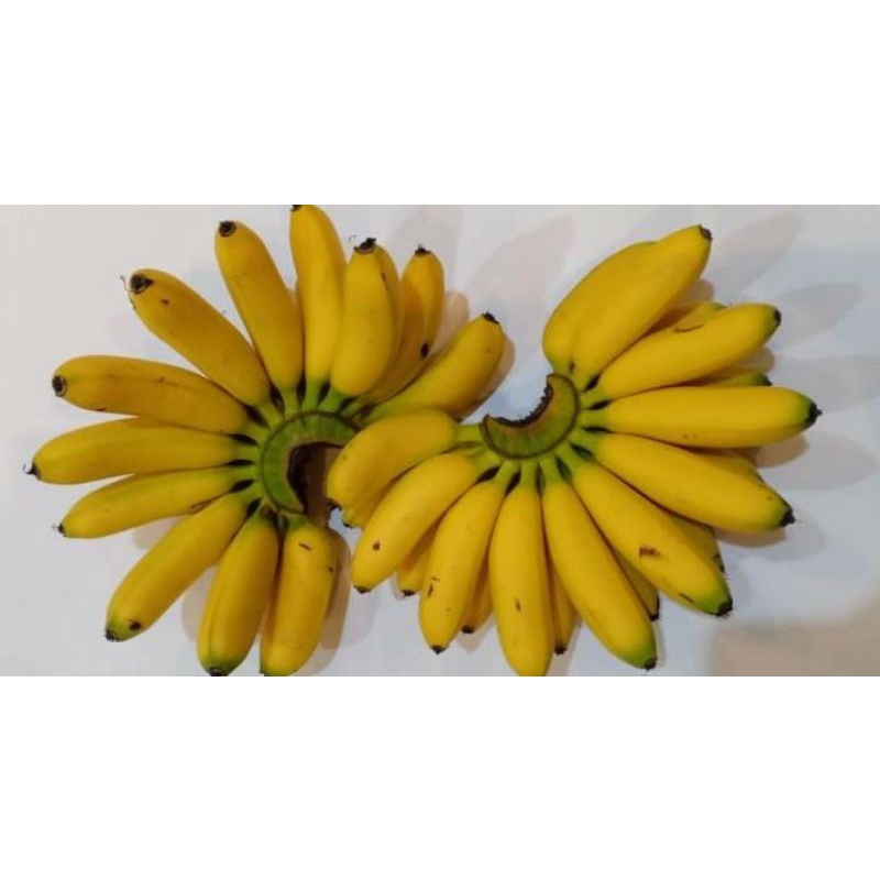 Buah Pisang mas per sisir