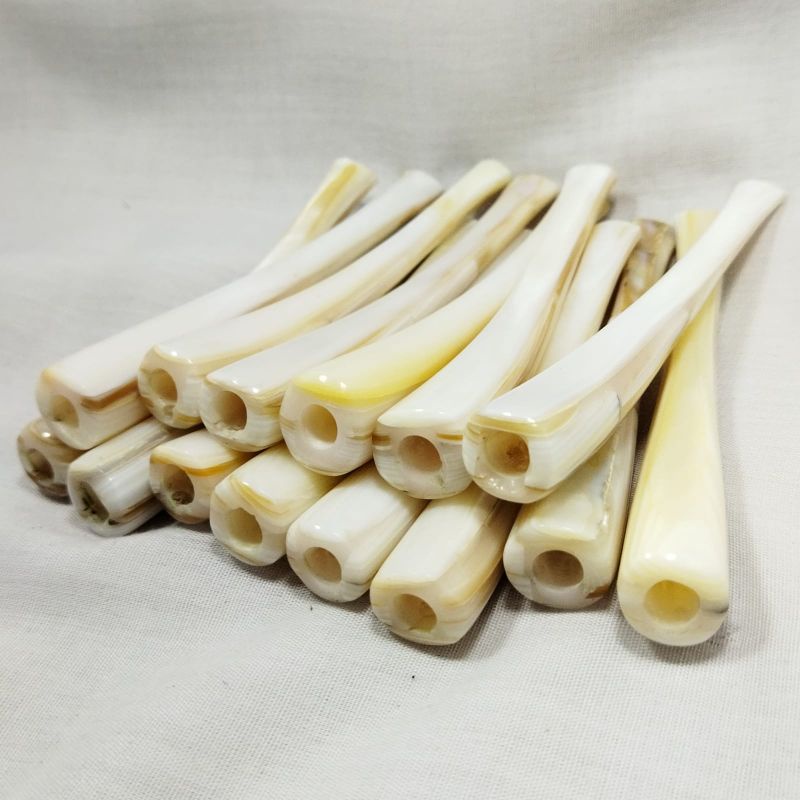 TERMURAH PIPA ONCE KERANG PUTIH ASLI ORIGINAL