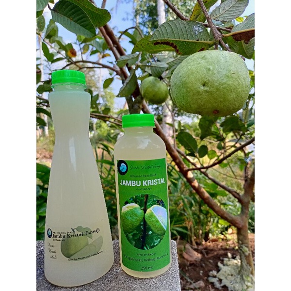 

Promo Jus Buah Asli Jambu Kristal