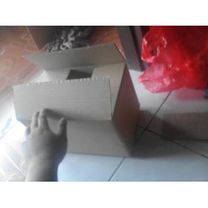 

Kardus PAcking / polos / uk. 50x40x30 cm
