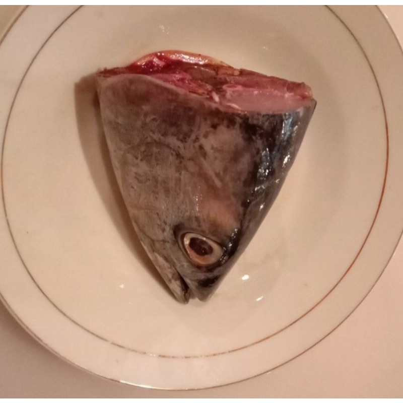 

KEPALA TONGKOL TUNA 1 pcs