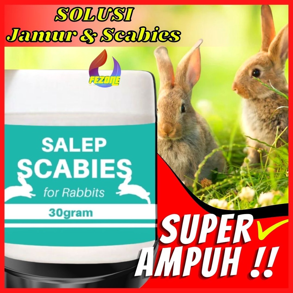 Obat Scabies Kelinci, Salep Scabies Kelinci, Scabies Kelinci FEZONE