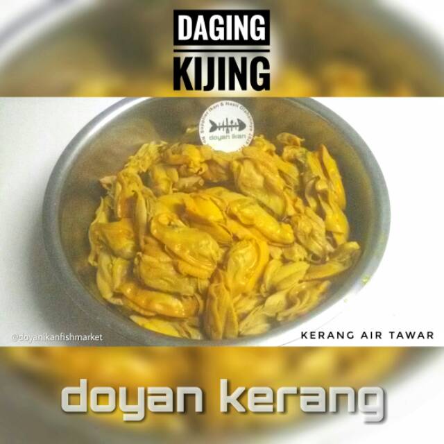 Daging Kijing Kerang Air Tawar Fresh Shopee Indonesia