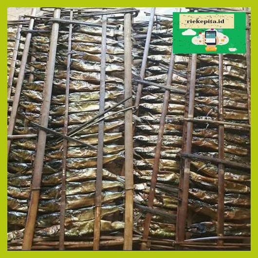

5Yer67R- Ikan Roa 1 Gepe 20 Ekor T7Rty67-