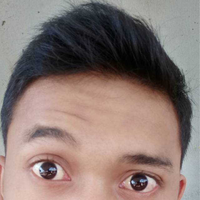 arifwibowo21