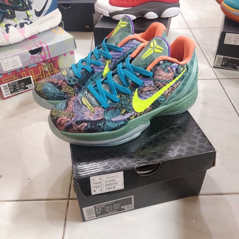 Sepatu Basket NK Kobe 6 Protro Low WHAT THE