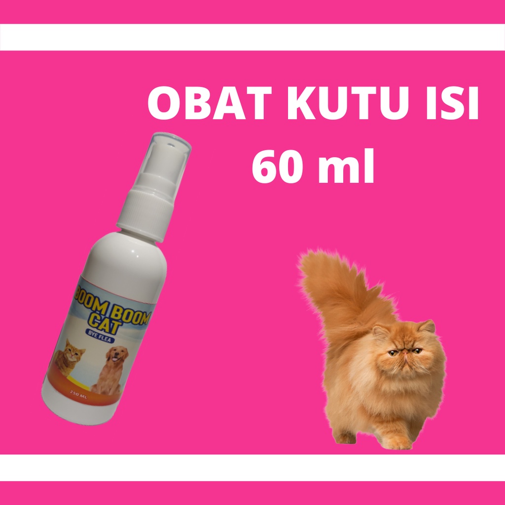 VITAMIN KUCING VITAMIN BULU KUCING OBAT KUTU KUCING SAMPO KUCING PENUMBUH BULU KUCING PENGGEMUK KUCING PELEBAT BULU KUCING FURMAX BIGMAX Olive Care Royal Cats Maxcat Flea Remover Big Cat