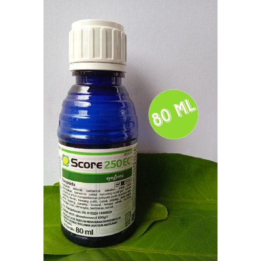 Score 80 ML