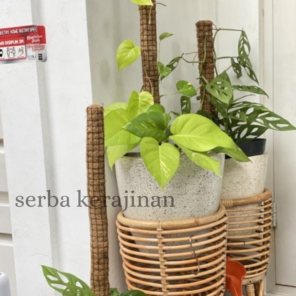 TURUS STRIMIN 100CM-TURUS PENYANGGA TANAMAN-RAMBATAN SIRIH GADING KUAT