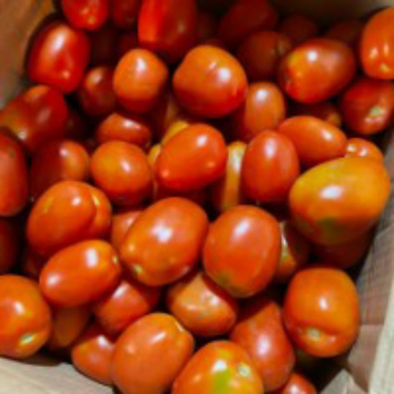 

Tomat segar 500 gram