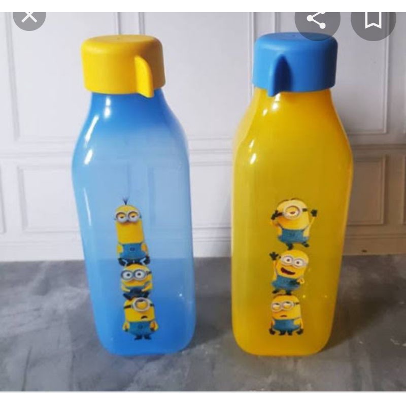 botol minion