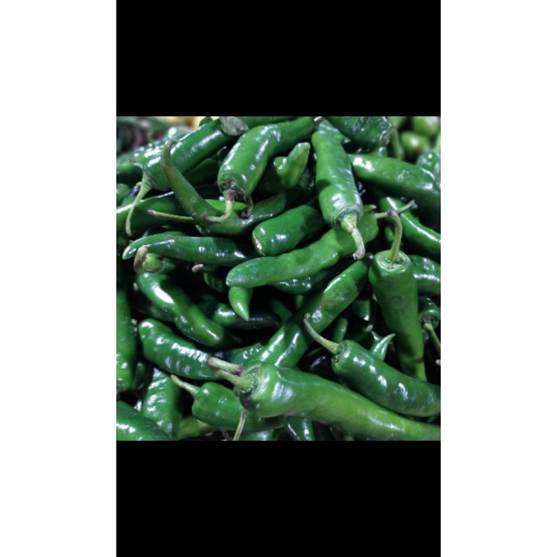 

Cabe hijau 100 gr