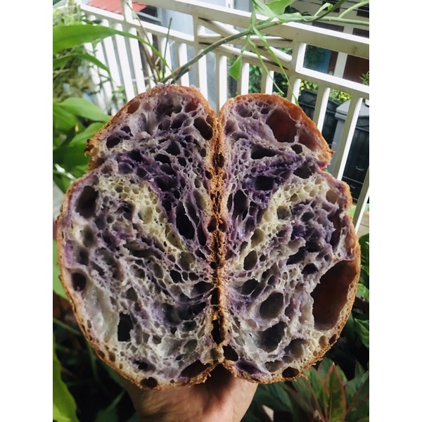 

Sourdough Sweet Purple Potato Country Bread