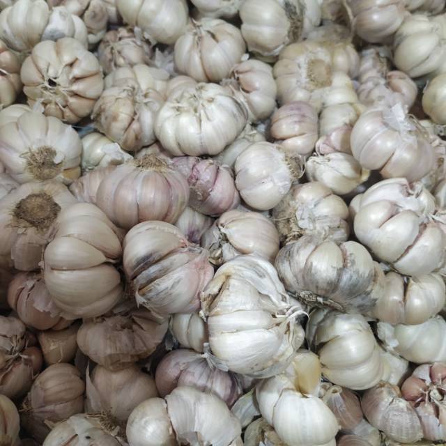 

Bawang putih banci 500gram