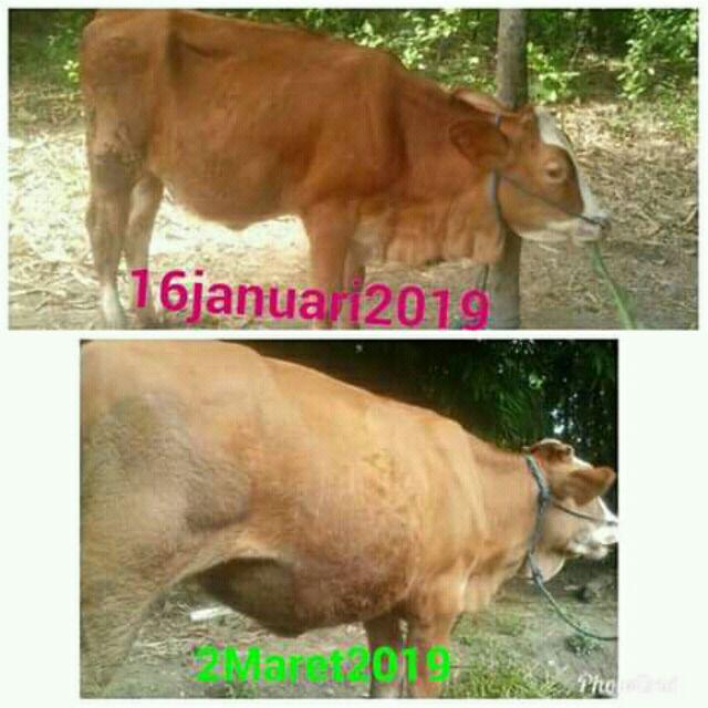 Atasan Batik Dolby Dolbi Dobby Doby Tenun Sutra Tulis Halus Katun Atbm Baron ,sarombit Atasan