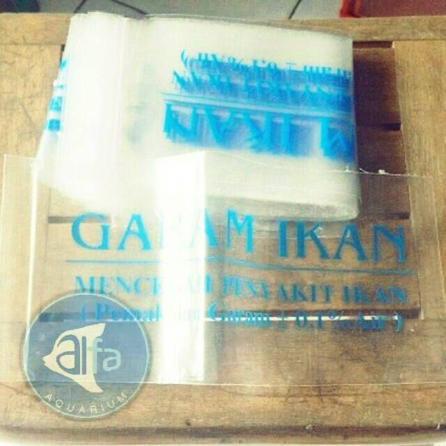 83 Desain Aquarium Untuk Louhan Gratis Terbaik